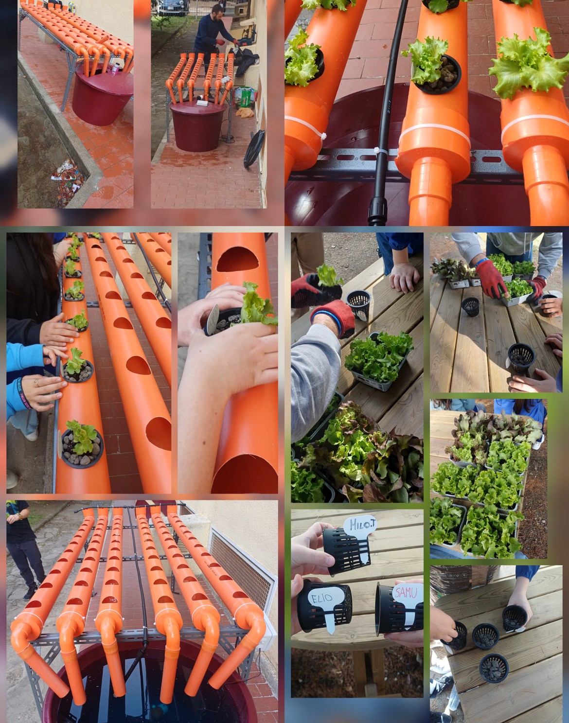 Orto idroponico Outdoor presso la Primaria Don Minzoni